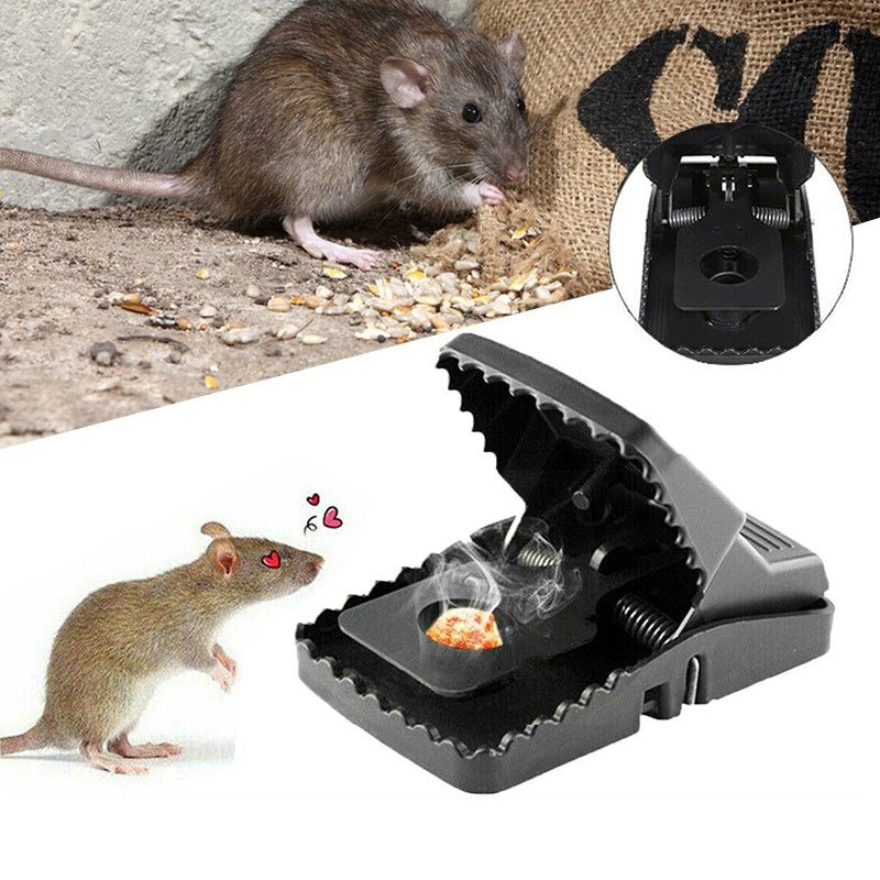 Reusable Traps Rat Catching