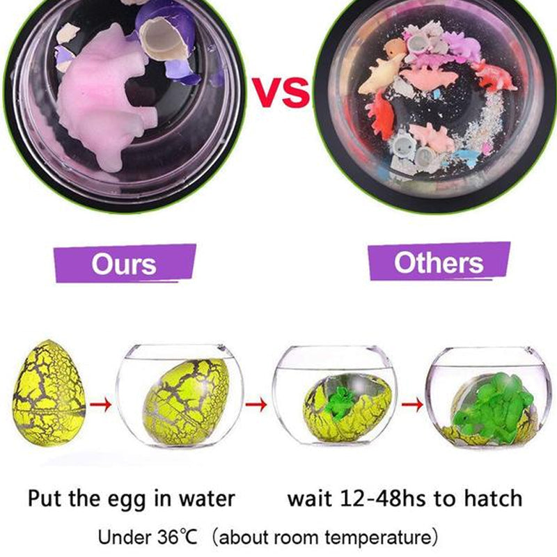 Magic Hatching Egg for Kids