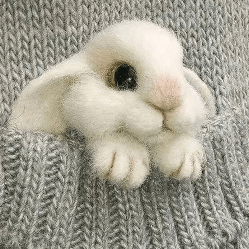 Pre-Sale>>Felt Animal Brooch