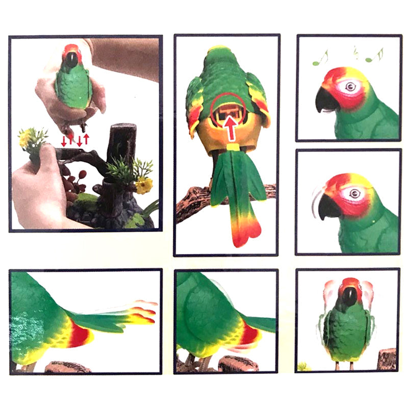 Electric Battery Operated Control Voice-Parrots