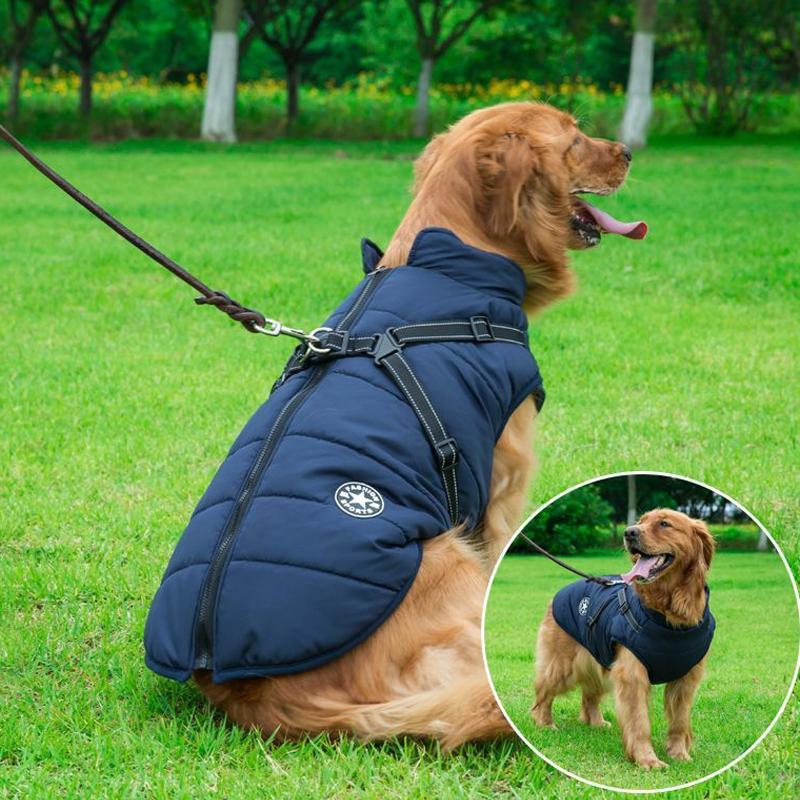 Winter Zipper Coat for Dogs